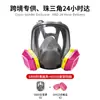 En Stock Máscara de Gas Facial Completa 6800 Transfronteriza Europea y Americana para Protección contra Pesticidas, Renovación, Protección contra el Polvo y Antitoxicidad