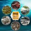 Cebo de Aceite de Oveja para Pasteles Pequeños, Cebo de Pesca, Camarón de Río, Cebo para Anguilas, Cubo de Cebo para Locha Langosta, Red de Pesca, Cebo para Jaula de Camarones