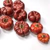 [Calabaza rojo oscuro] Decoración navideña Halloween calabaza roja pequeña flores secas fruta seca especímenes de plantas