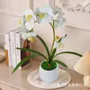 Película de Textura Impresa en 3D Simulación Flor Phalaenopsis Planta en Maceta Lujo Ligero Decoración de Sala de Estar de Casa de Gama Alta Adorno de Flor Artificial