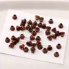 Pagoda de Madera Sombrero de Buda Cabeza de Buda DIY Accesorios Hechos a Mano con Cuentas Joyería de Cuentas de Madera Accesorios de Cuentas de Buda de Tres Vías Florero 0.8