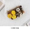Flor seca diy material pacote artesanal canela pinha pinha natural flor eterna moldura redonda ventilador feito à mão caixa de frutas secas