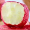 Manzana Yantai Red Fuji jin debería ser fruta fresca de temporada caja entera Shandong Qixia crujiente dulce corazón de azúcar de roca manzana fea