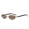Gafas de Sol Ovaladas Estilo Wang Hedi 2026 Nuevas Elegantes Geniales Protección UV Gafas de Sol de Gama Alta Modernas
