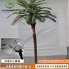 Coqueiro Falso Coqueiro Grande Tropical Outdoor Árvore Artificial para Paisagismo Planta Verde Arranjo de Paisagismo Palmeira Falsa Interna