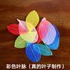 Fabricação de papel antiga feita à mão diy ferramentas de fabricação de papel de flor moldura de fabricação de papel polpa de fabricação de papel materiais feitos à mão para jardim de infância