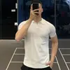 Camisa polo, de punto, manga corta, cuello en V de gaviota para hombre, camiseta de seda helada estilo 'old money' para negocios, venta al por mayor de fábrica transfronteriza de verano