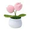 Flor Popular Tejida a Mano Transfronteriza Flor de Lana Tejida Flor Artificial Flor de Tulipan Flor de Lana Ganchillo Planta en Maceta Hecha a Mano Producto Terminado