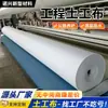 Tela de Ingeniería Geotextil Hidratante No Tejida Filtro Filtración Mantenimiento de Carreteras Manta Blanca Protección de Taludes Fieltro Aislante Geotextil