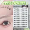 Pestañas Postizas Pequeñas en Forma de Flor Diagonal sin Pegamento con Pestañas Distintivas, Aspecto Puro y Natural, Cómodas y con Sensación Natural, Completamente Rizadas