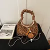 Tendencia transfronteriza bolsa simple de dumplings moda nicho para mujer bolso de hombro individual 2026 otoño nuevo bolso de mano elegante bolso cruzado
