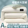 Colcha Térmica de Fibra de Soja, Núcleo de Colcha Grosso de Veludo de Pena de Inverno Classe A, Têxtil para Casa Nantong Colcha Solteiro e Casal