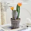Bonsai de combinação de cactos, flores artificiais, plantas tropicais, plantas em vaso, decorações de interior, cactos suculentos de alta qualidade para vendas transfronteiriças