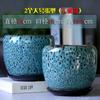 Vaso de Flores Cerâmica Grande Casa com Bandeja Distintivo Simples Planta Verde em Forma de Ovo Verde Dendrocalo Pequeno Vaso de Flores Carnudo