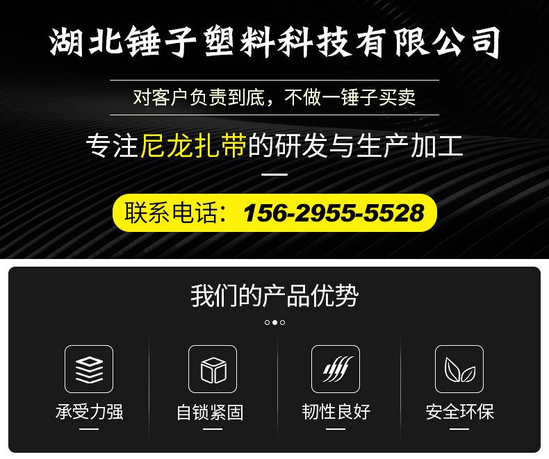 尼龙扎带详情_01