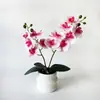 Planta de orquídea Phalaenopsis artificial de 2 ramas y 12 flores en maceta con textura realista, planta verde de flor artificial bonsái para decoración de hotel y boda, maceta pequeña