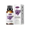 Óleo essencial de aromaterapia totalmente em inglês transfronteiriço lavanda suplemento de aromaterapia sem álcool umidificador água para aromaterapia solúvel em água fabricantes
