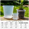 Vaso especial para Phalaenopsis, vaso Qingshan de alta transparência, vaso para Oncidium, vaso transparente para observação de raízes, vaso de controle de raízes, vaso para orquídea