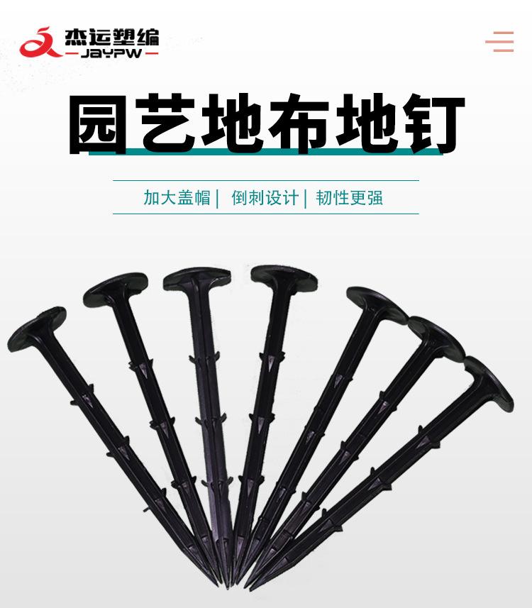 详情_02.jpg