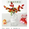 Fruta Simulada, Racimos de Granada Simulada, Flor de Año Nuevo, Cubo de la Fortuna Decoración, Accesorios para Fotografía, Fruta Falsa para Manualidades, Venta al por Mayor desde Fabricante