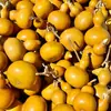 Calabazas Suaves Bellamente Elaboradas para Manipular y Coleccionar, Calabazas de Piel Morada con Pátina, Calabazas Retorcidas a Mano, Artículos de Mano, Calabazas para Vendedores Ambulantes al por Mayor