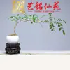 Talla en Madera de Ébano con un Diseño de Símbolo que Cumple Deseos, Base de Madera Maciza para Floreros, Adornos de Jade, Juegos de Té, Piezas Decorativas, Artesanías y Bases para Mini Bonsái