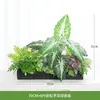 Plantas Verdes Artificiales Flores Falsas Paisajismo Maceteros Cajas de Flores Plantas Biónicas Balcón Paisaje Exterior Vallas Adornos Decoraciones