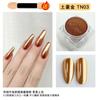 Polvo espejo mágico para uñas resaltador polvo de titanio metálico oro Tuhao onda de agua superbrillante harina espejo brillo para uñas al por mayor