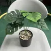 Hojas de Monstera deliciosa ignífugas, planta verde simulada ignífuga grado B1, planta en maceta, ramo decorativo, arreglo floral, paisajismo, planta verde artificial, flor de bonsái