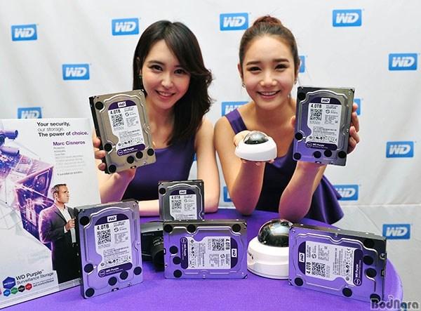 WD10PURX,1T,IntelliPower,3.5,S