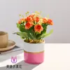 Bola de Camomila Jardim Pequeno Bonsai Flor Artificial Decoração Sala de Estar Estudo Planta Verde Falsa Decoração Mesa de Escritório