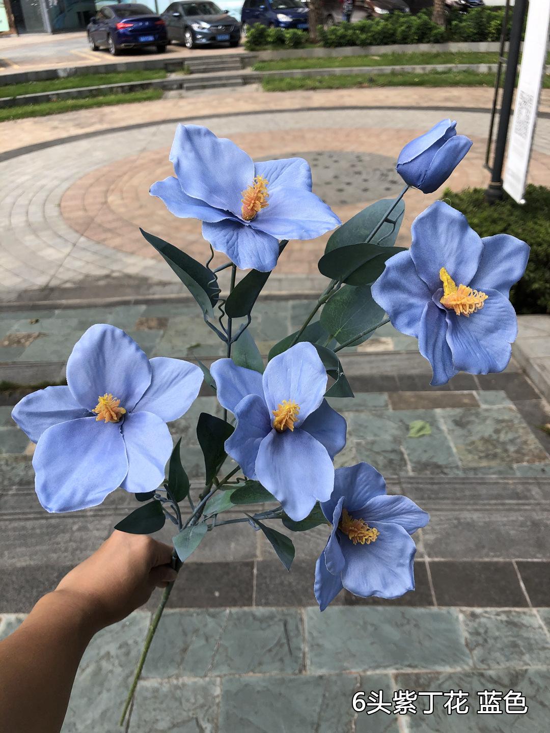 微信图片_20201019125614.jpg