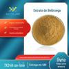 Extrato de Portulaca Oleracea Matéria-prima cosmética Portulaca Oleracea Flavonoides Força Fábrica Personalizada Pseudo Portulaca Oleracea Extrato em pó