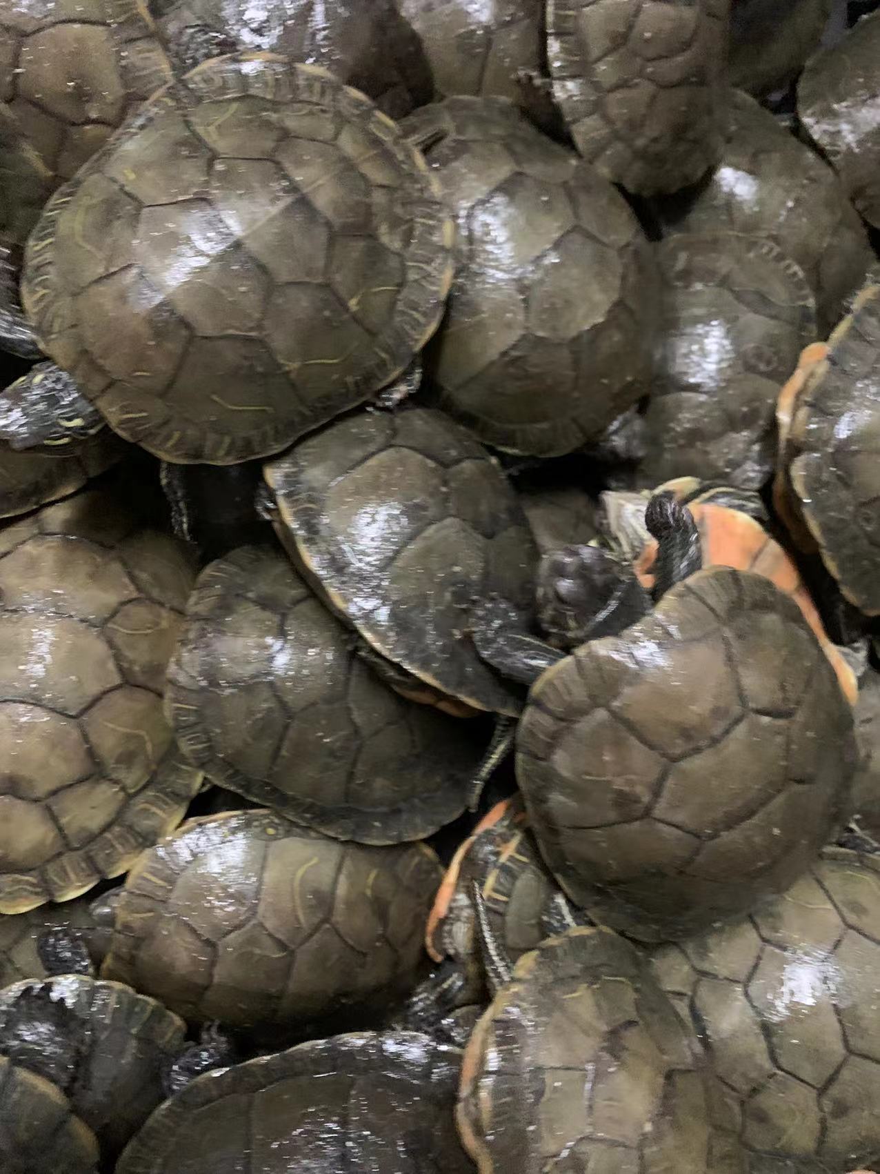 微信图片_20220213170042