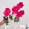 Flor Artificial de Buganvília e Jacinto com 3 Pétalas Decoração para Salão de Casamento Local de Fotografia Arranjo de Flores Artificiais Decoração Suave para Casa