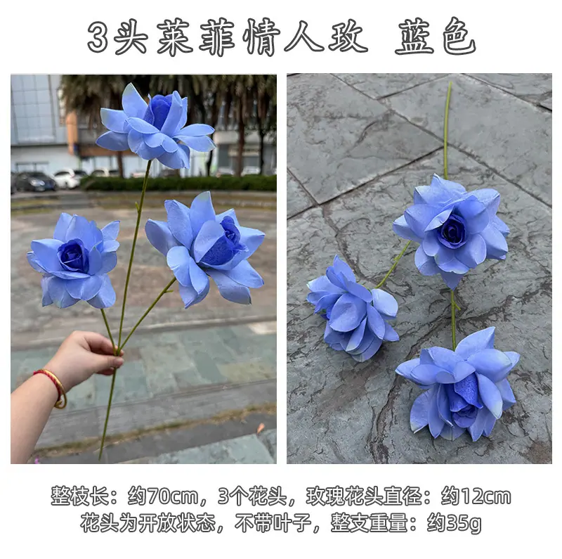 3头莱菲情人玫-详情_19.jpg