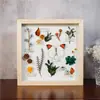 Espécime de borboleta, flores secas, pintura decorativa artesanal, porta-retrato, peça decorativa, pendente de parede, decoração de quarto modelo, presente de feriado