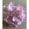Pequeno Livro Vermelho Mesmo Estilo Flor de Casamento Simulação Rosa Tema de Casamento Fake Flor Fundo Teto Decoração Simulação Buquê Falso