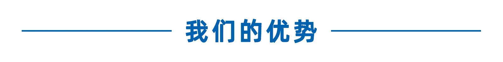 我们的优势