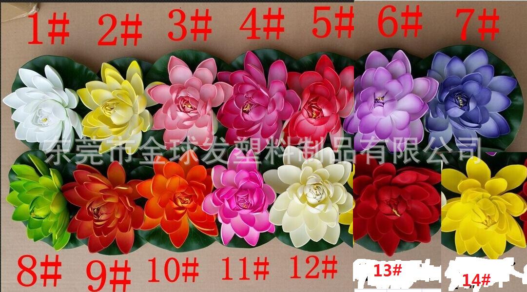 荷花色号图片