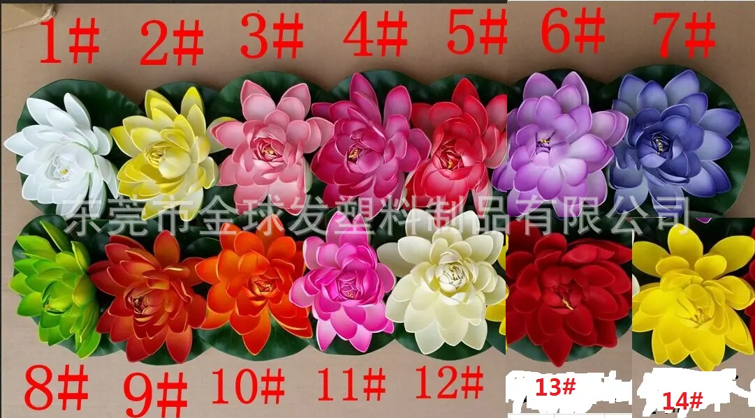 荷花色号图片