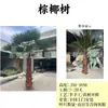 Provincia de Quang Ninh, Vietnam, Condado de Yuntun, Proyecto, Palmera Artificial Marina, Cocotero, Caso de Ingeniería Municipal, Árbol Artificial Grande Falso
