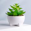 Vasos de Cerâmica Personalizados para Plantas Presente Preto e Branco Esmaltado Leve Mesa de Escritório Plantio Verde