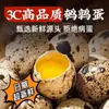 Huevos de Codorniz Horneados en Sal de Cinco Especias Picantes, Snacks Dramáticos, Huevos Guisados sin Cáscara, Listos para Comer, Casual para Estudiantes y Niños, Caja Completa