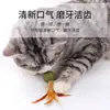 Juguete para gatos bola de hierba gatera pluma juguete masticable para autoentretenimiento y alivio del aburrimiento bola de hierba para gatos palo teaser para gatos