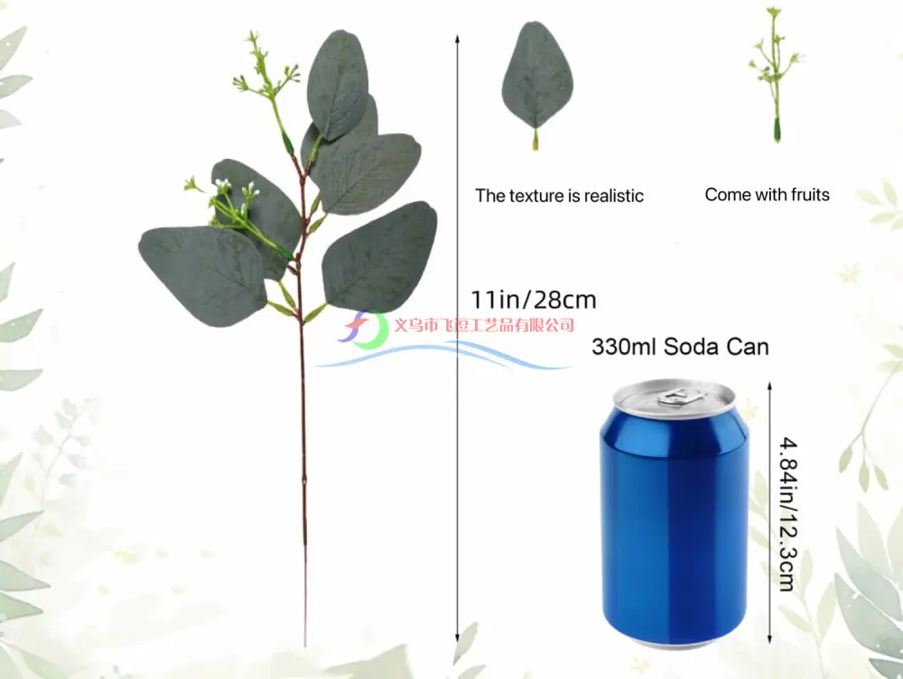 主图_Eucalyptus_Leaves_With_Frui