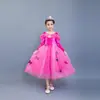 Vestido Longo Cinderela 2024 Primavera Frozen Elsa Vestido de Menina Vestido de Princesa Dia das Crianças