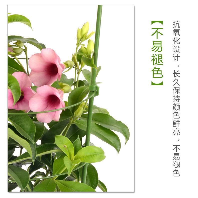 03251c3f0bb23a6453a21fd8cc57b8