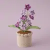 Criativo Sala de Estar Casa Desktop Simulação Lã Planta Verde Ornamento Crochê 10 Cabeças Não-me-esqueças Lã Planta em Vaso Transfronteiriço