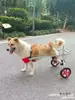Silla de ruedas para perros con parálisis de extremidades traseras, ayuda para la movilidad de perros discapacitados, soporte para patas traseras para gatos, Teddy, razas grandes y pequeñas